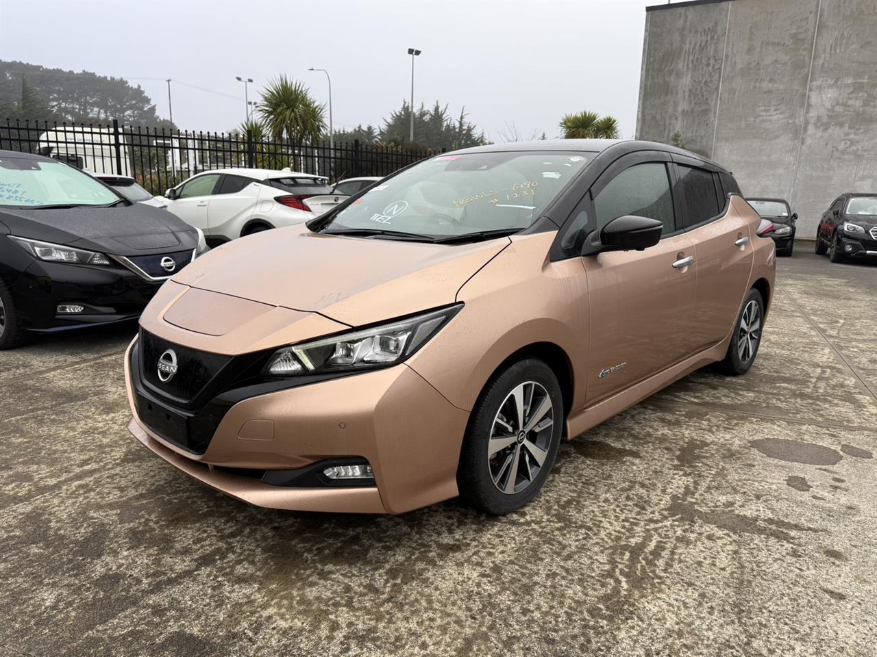 2021 Nissan Leaf