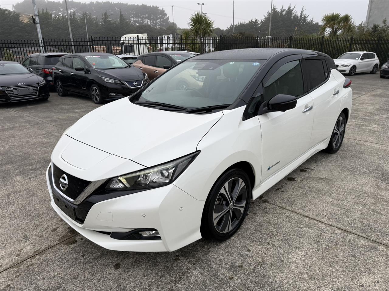 2018 Nissan Leaf